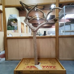 arbre de java xxl
perchoir java pour perroquets