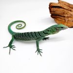 varanus prasinus 
varan émeraude 
présumé femelle