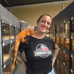 iguane vert mutation hypo/albinos red 
(iguana iguana)
male 2 ans et demi extra red !!!!