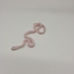 pantherophis guttatus 
serpent des blés 
palmetto male 66% het anery