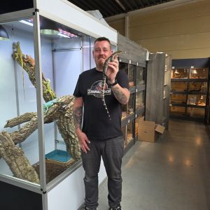 Varanus Salvator " java"
varan malais
male 2024